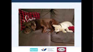 Echo Care of the Elderly: COVID-19 Session 2 on Preparing Your Long-Term Care Home for COVID-19